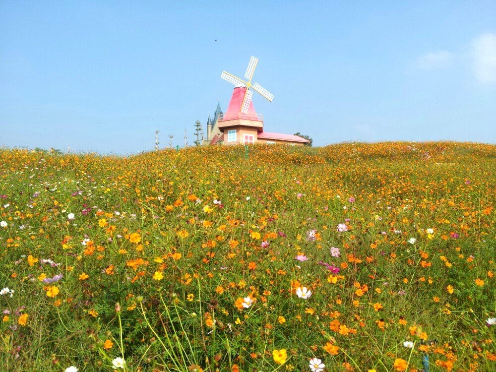 古堡花海-中驰度假山庄,苏峰山,金銮湾,谷文昌纪念馆一天游