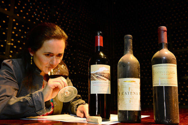 智利、阿根廷、南非最贵的葡萄酒都是什么？