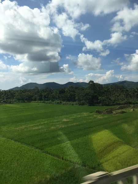 动车沿途风景也很美.