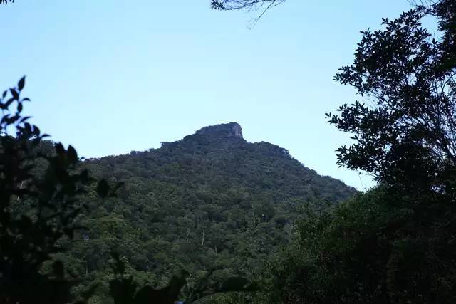 端午节约登海南最高峰，一览众山小，挑战五指山之颠！