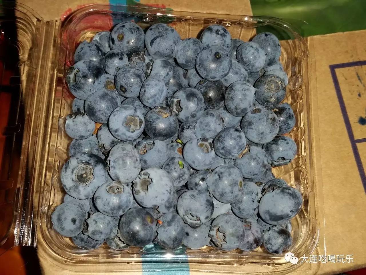 【端午节自驾游】蓝莓采摘，新鲜瓜果，带着孩子玩漂流咯！