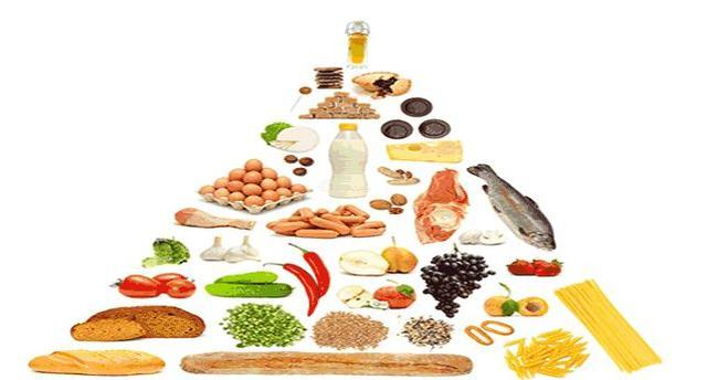 肥胖,妊娠,高脂肪饮食,长期肠外营养,糖尿病,高脂血症,胃切除或胃肠
