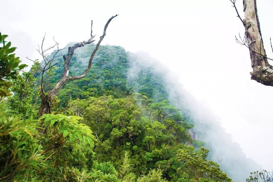 端午节约登海南最高峰，一览众山小，挑战五指山之颠！