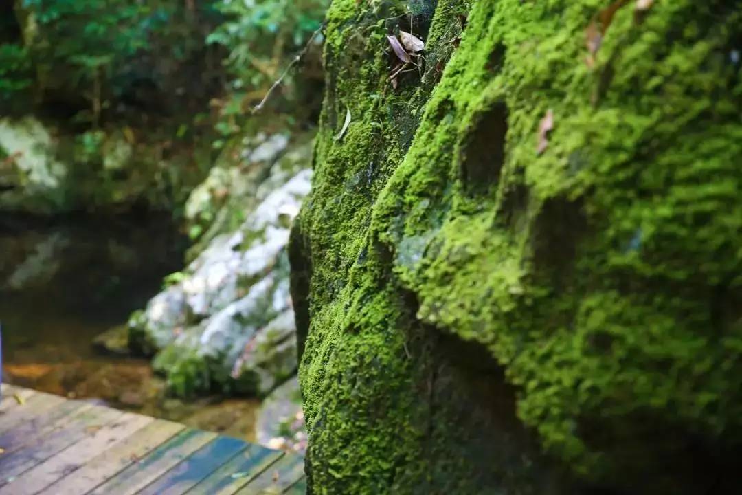 端午节约登海南最高峰，一览众山小，挑战五指山之颠！