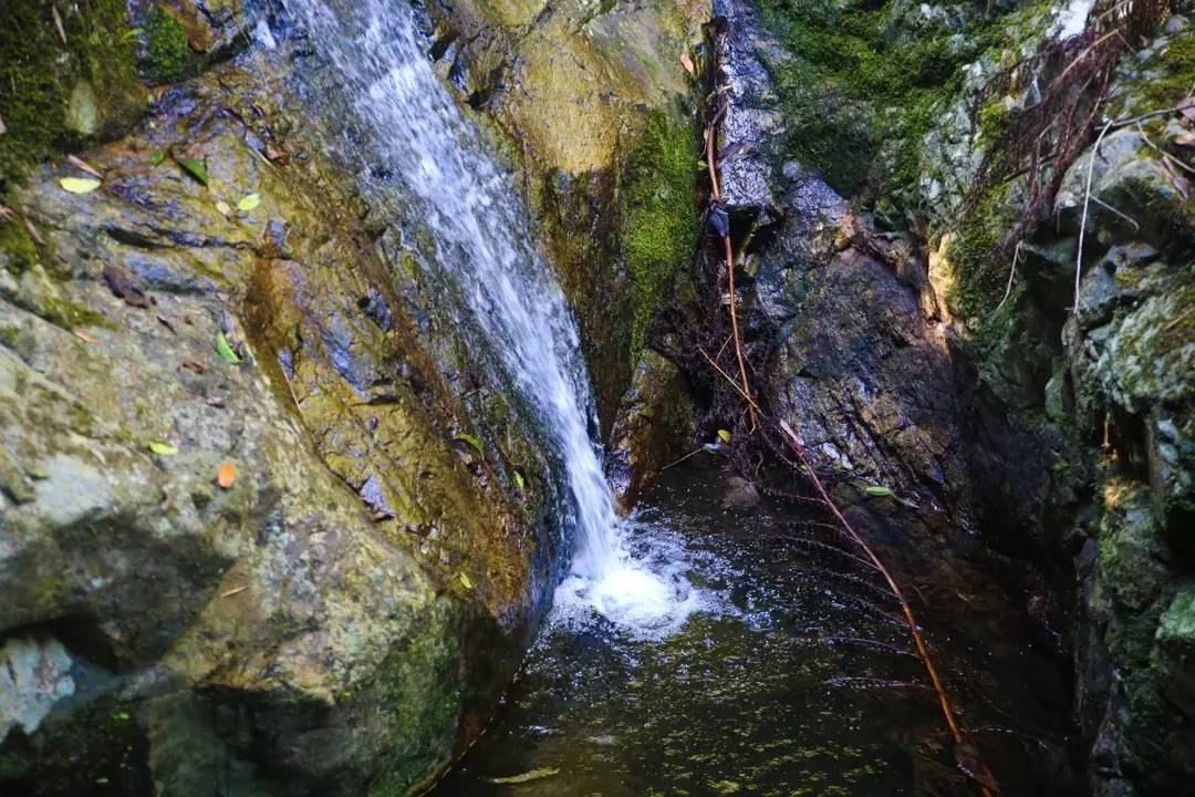 端午节约登海南最高峰，一览众山小，挑战五指山之颠！