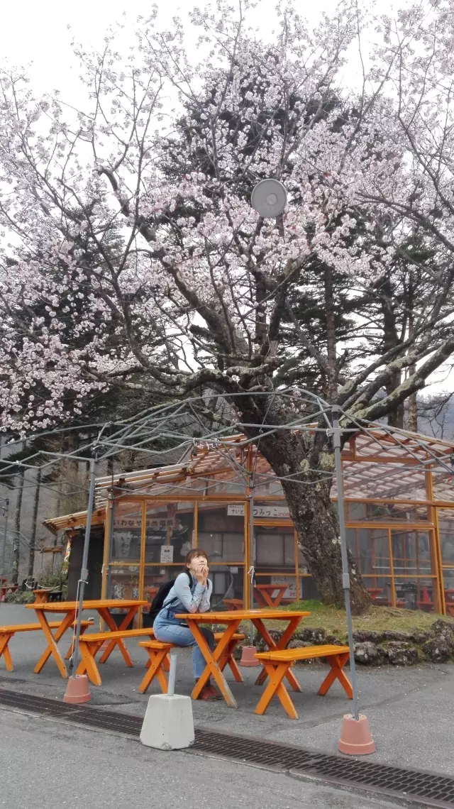 错过了樱花季，“大东京”还有什么好玩？