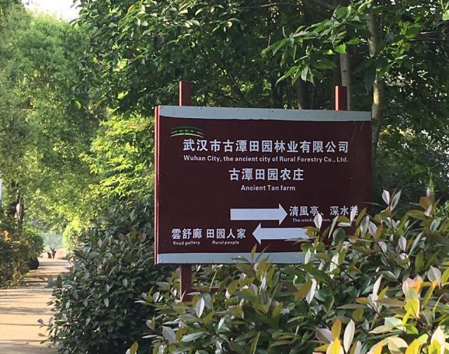 驾车到黄陂区祁家湾街,向北沿祁泡公路行驶3公里,行至古潭寺旁即到.