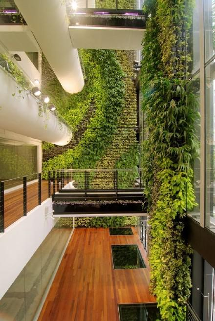 5, 垂直绿化是与建筑和生活在建筑中的人的关系最密切的绿化类型