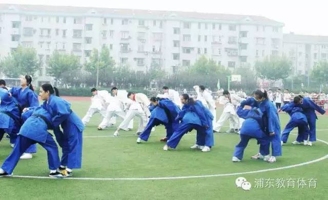 市青少年柔道锦标赛带来浦兴中学和柔道的故事:人人参与,普及率100%