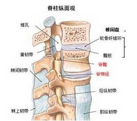 中医治疗腰椎病的原理是什么_幸福是什么图片(2)