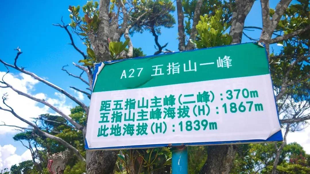 端午节约登海南最高峰，一览众山小，挑战五指山之颠！