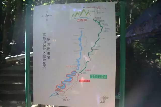 端午节约登海南最高峰，一览众山小，挑战五指山之颠！