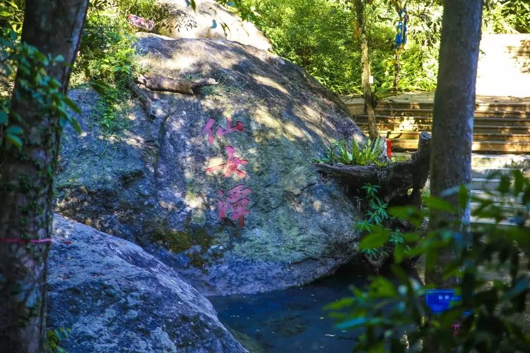 端午节约登海南最高峰，一览众山小，挑战五指山之颠！