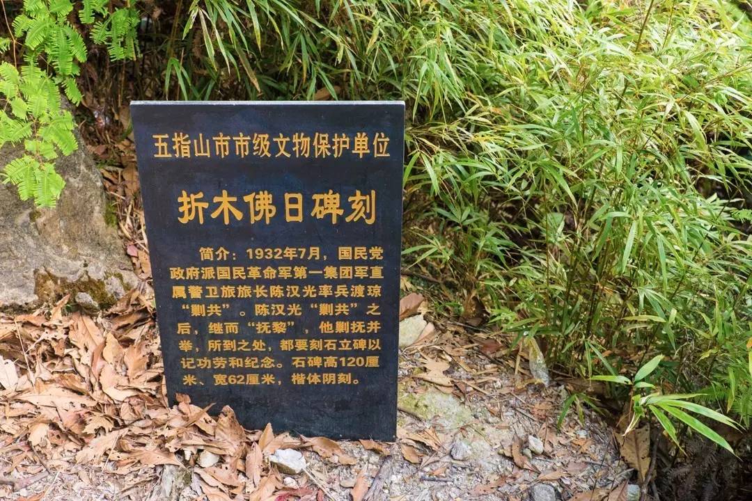 端午节约登海南最高峰，一览众山小，挑战五指山之颠！