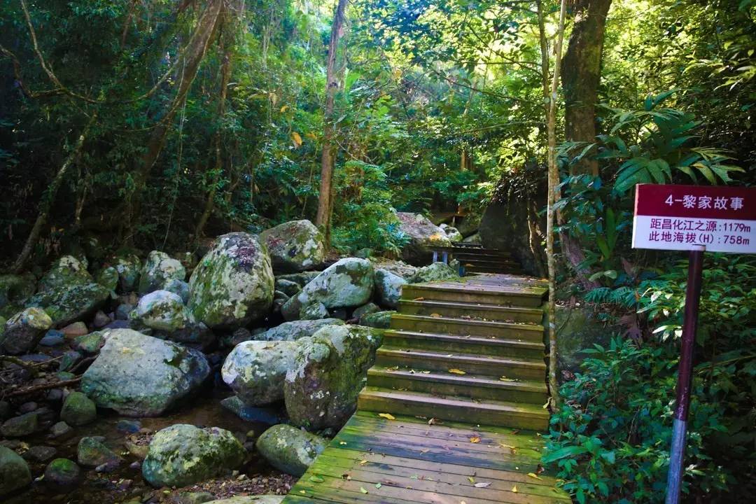 端午节约登海南最高峰，一览众山小，挑战五指山之颠！