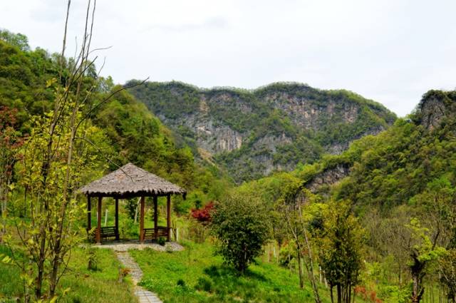 微景点 | 端午小长假,竹溪这些景点"任你游"_搜狐旅游