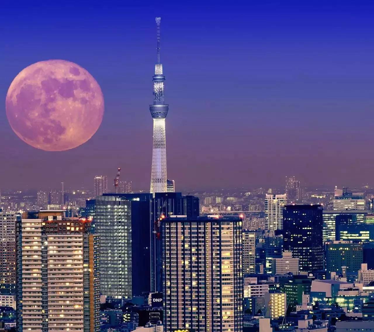 ▽   〔东京天空树〕-登世界最高铁塔634m