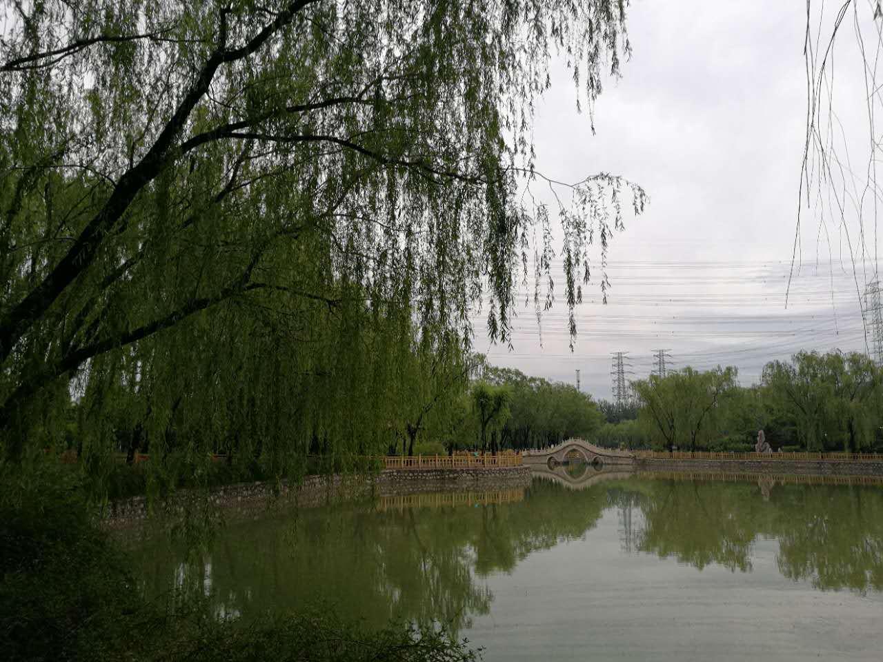 晓看雨过后，花重北京城