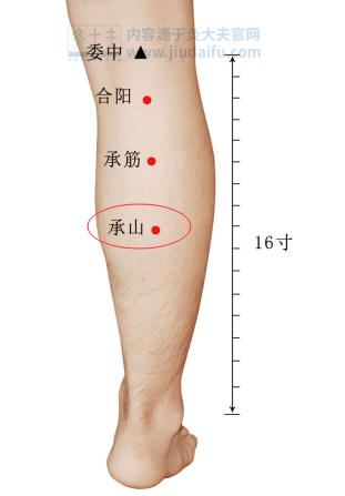 经常按摩可使小腿更加粗壮有力,还可缓解气血淤滞,经络不通导致的腿