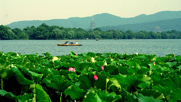 去了浙江才知道,西湖美景很招摇.