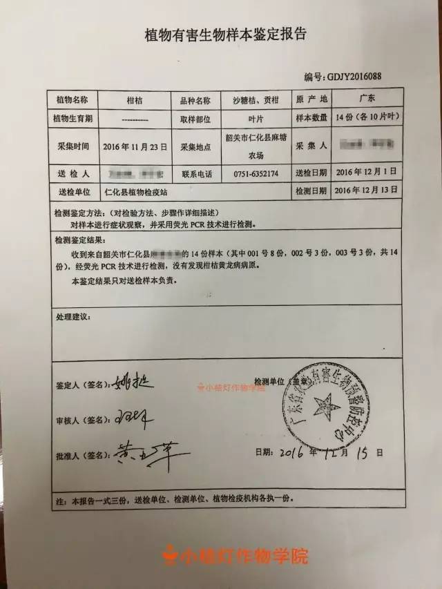 裸根苗挖苗时会损伤苗木根系,移栽后其恢复生长时间较长,长距离运输