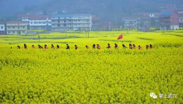 黄冈市各市县经济总量_黄冈市地图(2)