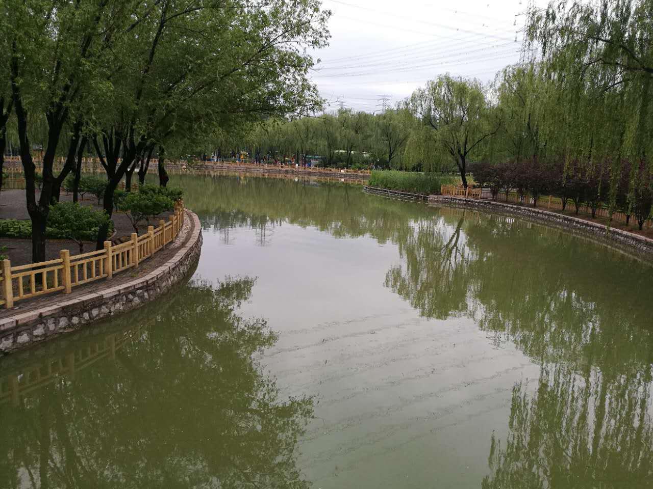 晓看雨过后，花重北京城