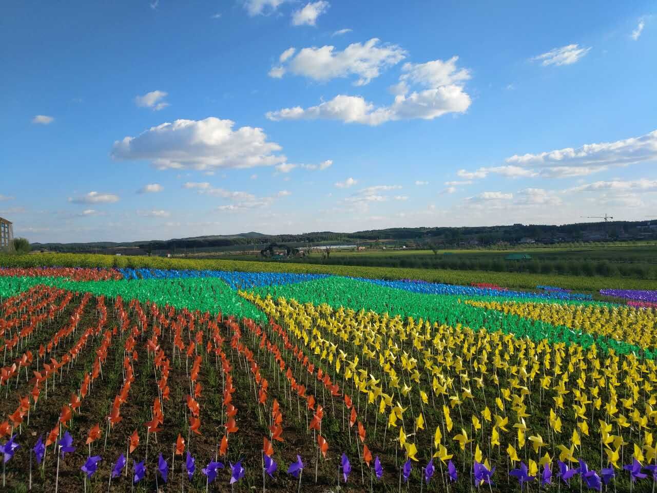 徒步美拍 花开成海 吃鱼采摘 最美鴜鹭 今夏来辽源