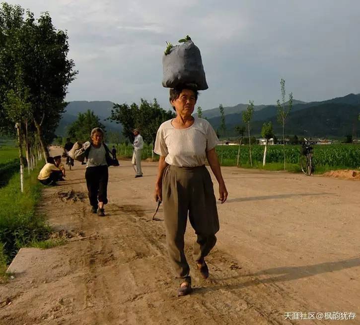 真实的朝鲜农村现状:百姓生活很接地气,让人想