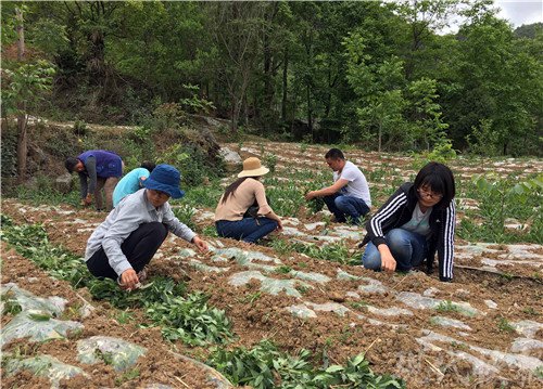 中国农村人口有多少_中国有多少人口(2)