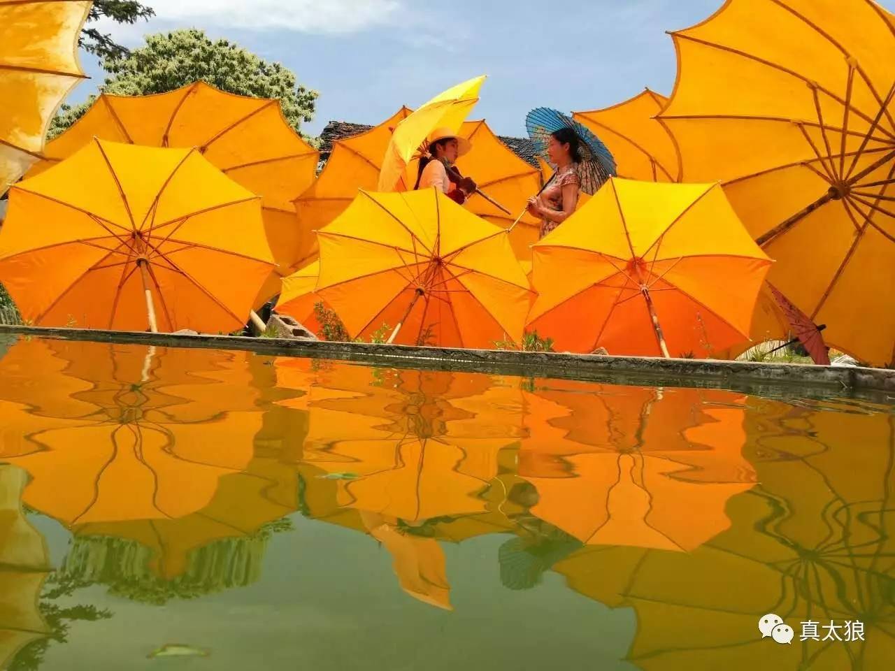 深圳观澜湖-油纸伞活动|摄影|游记|冰雪蔺珊 - 原创作品 - 站酷 (ZCOOL)