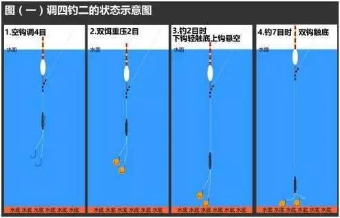 体育 正文  获取 《钓鱼视频教程》和【渔友联盟】在线课邀请卡