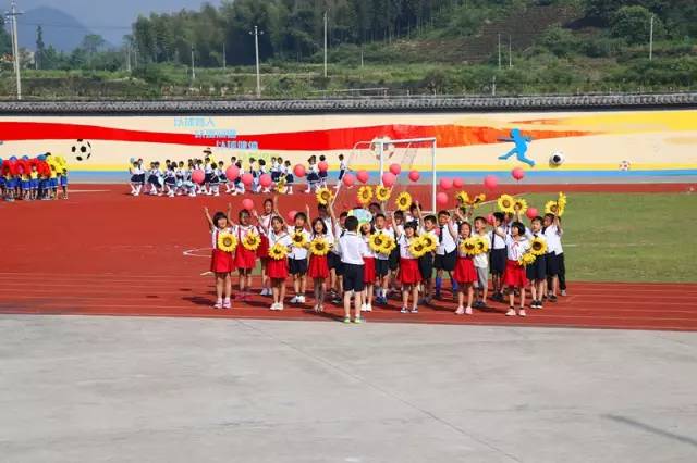 激情飞扬 活力金小——金融希望小学夏季运动会