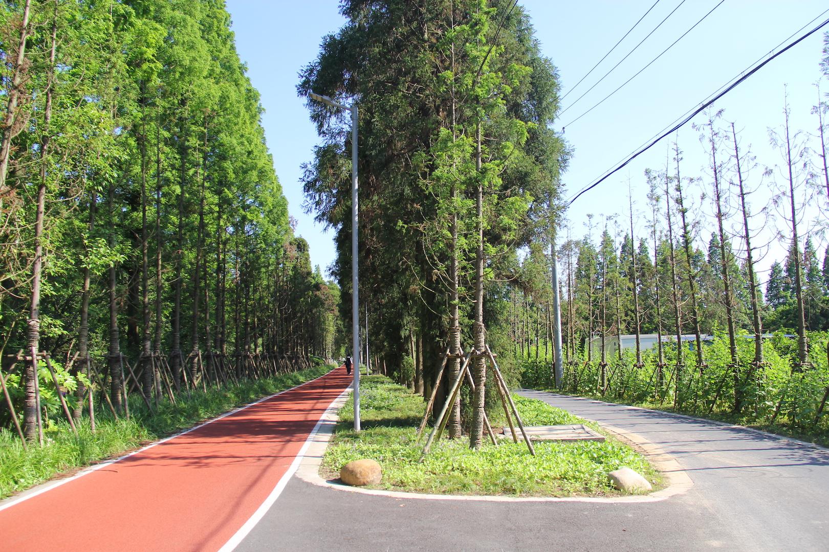 城市温度丨这个郊野公园有点不同:可以吃半年玫瑰,还能玩"穿越(组图)