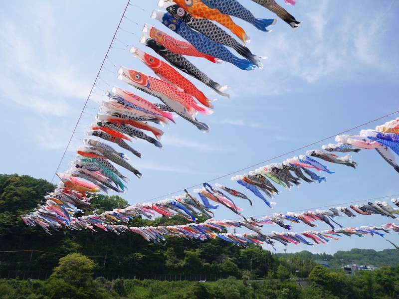 日本的端午节居然叫男孩节，除了吃粽子，还挂鲤鱼旗，背后的故事很感人！