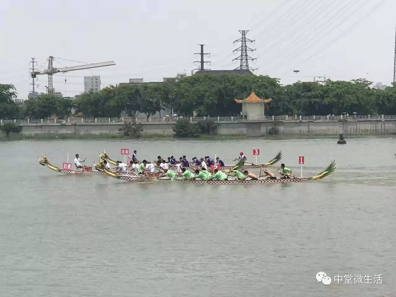 大塞车!五坊12条龙船竞赛,锣鼓喧天好热闹!