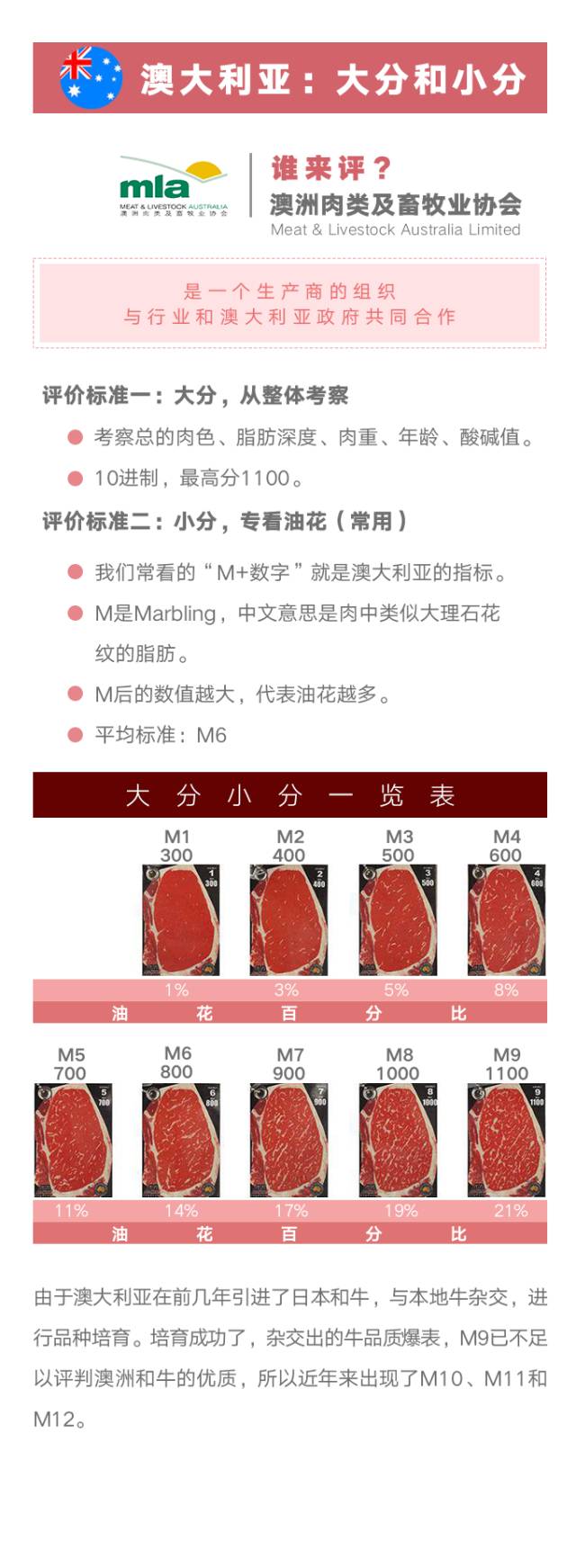 一图带你秒懂各国"牛肉分级.