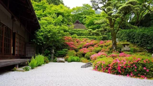 日本十大最美 枯山水 庭院指南