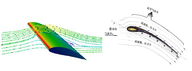 图4 翼型绕流