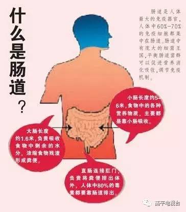 世界肠道健康日来临你的肠识过关吗