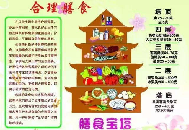 一篇懂你的科普文——合理搭配膳食,才是减肥王道