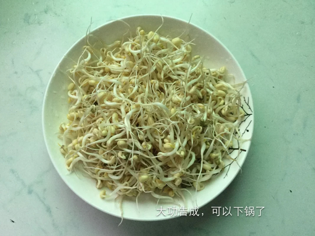 绿豆芽制作教程，秒懂哟