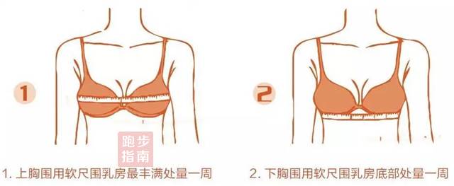 罩杯尺寸=上胸围尺寸-下胸围尺寸