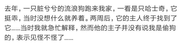 二哈简直就是上帝创造狼之前打的草稿！