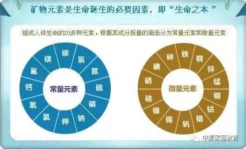 人体9大微量元素与疾病不能不说的关系