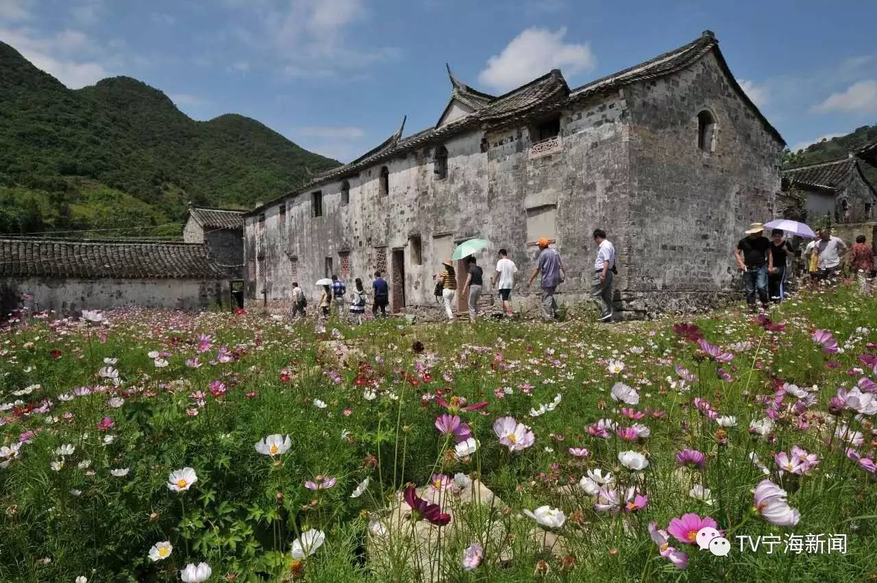 大家参观走访了箬岙村的植桂书舍等古村遗址,深入了解有着有六百多年