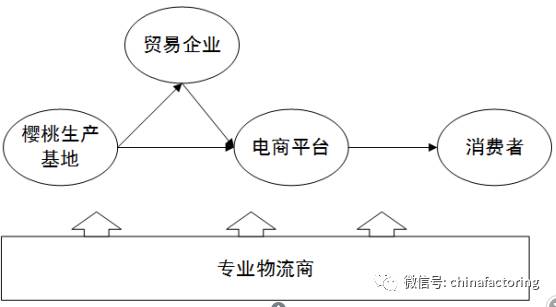 供应链角度看樱桃产业崛起