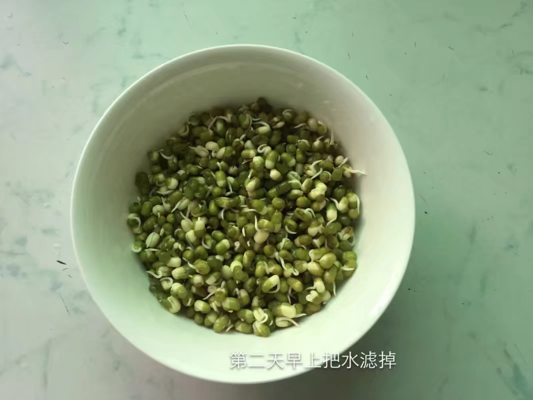 绿豆芽制作教程，秒懂哟