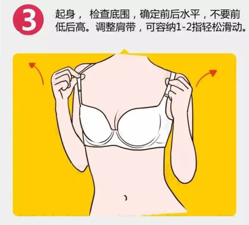 简单粗暴科普图,如何正确穿戴bra