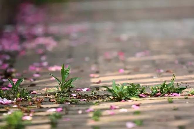 相逢不语,一朵芙蓉著秋雨.小晕红潮,斜溜鬟心只凤翘.